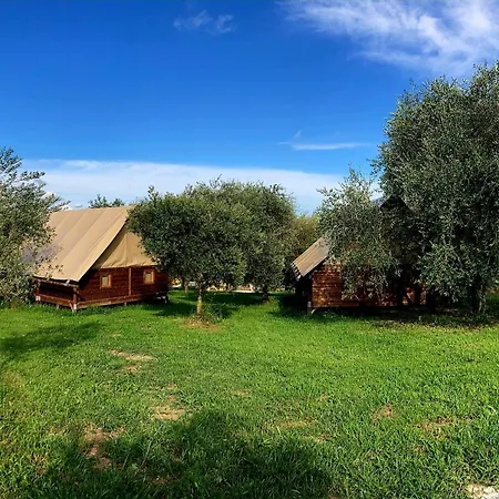 Glamping Il Bosco Di Marino Luxuszelt San Pietro Di Feletto