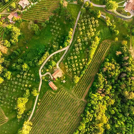 Glamping Il Bosco Di Marino Luxuszelt San Pietro Di Feletto