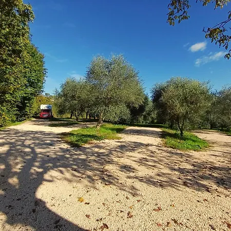 Glamping Il Bosco Di Marino Luxuszelt