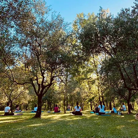 Glamping Il Bosco Di Marino San Pietro Di Feletto